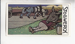 Stollwerck Album No 12 Die Tiere Ackergaul Und Esel ( Fleiß Und Trägheit ) Grp 480 #1 Von 1911 - Stollwerck