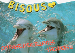 CPM - A - DAUPHIN - BISOUS - ON PASSE D'EXCELLENTES VACANCES !!! - Delfines