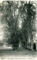 CPA - AUFFAY - CHATEAU DU BONNELET - UNE ALLEE  (ETAT PARFAIT) - Auffay