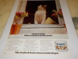 ANCIENNE PUBLICITE FIDO CHAT 1972 - Sonstige & Ohne Zuordnung