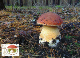 Carte Maximum Excellent état Bulgarie Champignon Boletus Edulis (cèpe) - Mushrooms