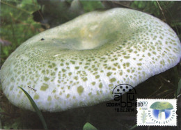 Carte Maximum Excellent état Bulgarie Champignon Russula Virescens (Russule Verdoyante, Palomet) - Mushrooms