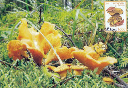 Carte Maximum Excellent état Belarussie Girolle (Cantarellus Cibarius) - Mushrooms