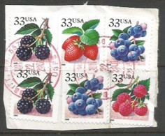 USA Berries BKLT P.11.50 With Date 2000 Cpl Issue (4v+2 Doubles)  In VFU Condition Used 22jun2001 On The Same Piece - Oblitérés