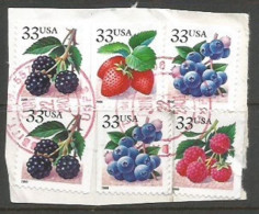USA Berries BKLT P.11.50 With Date 2000 Cpl Issue (4v+2 Doubles)  In VFU Condition Used 22jun2001 On The Same Piece - Strips & Multiples