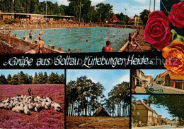 72765271 Soltau Schwimmbad Ortsansichten Schafherde Lueneburger Heide Soltau - Soltau