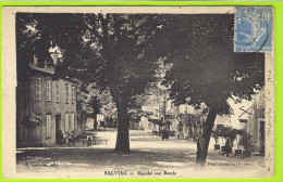 46 - SALVIAC +++ Marché Aux Boeufs +++ - Salviac