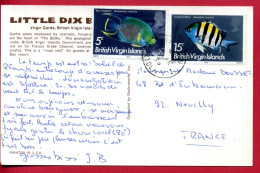 1975 - De British Virgin Islands Pour La France - Poissons SERGENT MAJOR Et BLUE ANGELFISH  - Iles Vièrges Britanniques