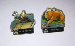 2 PIN'S -   FINA -  Ile De France Et Pyrénées - Police
