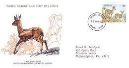 Lesotho Klipspringer Gazelle FDC Cover WWF Panda Logo At The Back FDC Cover ( A80 972) - Autres & Non Classés