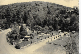 Julot1939 ... VRESSE ..-- Jardins De La " GLYCINE " . A Droite , RAILS Du TRAM !!!! - Vresse-sur-Semois