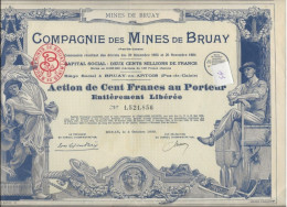 COMPAGNIE DES MINES DE BRUAY - ACTION ILLUSTREE DE 100 FRS  ++  ANNEE 1939 - Miniere