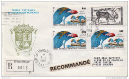 Postal History: French Antarctic Territory R Cover - Pinguïns & Vetganzen