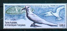 TAAF / French Southern Antarctic Territories 2019 - Gygis Blanche / White Tern / Gygis Alba - MNH - Gaviotas