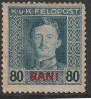 Feldpost Rumänien 1917 ANK/Mi: 13* MLH [13x] - Neufs