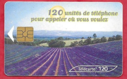 Télécarte Hors Catégorie THC2  Lavande  2ème Choix - 120 Unités 