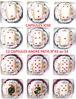 Série De 12 Capsules De Champagne André Patis N°43 Au 54  (Les Cartes Du Tarot) - Verzamelingen