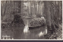 Deutsches Reich PPC Spreewald. Reichsadler Burg-Dorf Spreewald LUCKENWALD 1931 Echte Real Photo Ebert (2 Scans) - Luckenwalde