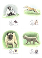 2008 - DOGS - Tarjetas – Máxima