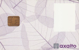 FRANCE - Axalto Demo Card - Sonstige & Ohne Zuordnung