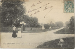 BREVANNES -    AVENUE DE CLARMONT   1904 - Limeil Brevannes