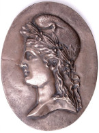 Plaque En Bronze.Marianne.représente La République Française Et Ses Valeurs  « Liberté, Égalité,Fraternité " - Altri & Non Classificati