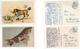 1956-57 DOG, HORSE Postcards SWEDEN Stamps To Germany Cover Postcard - Briefe U. Dokumente