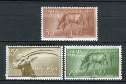 Sahara 1955 Edifil 123-25 ** MNH - Spanische Sahara