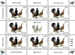 Montenegro 2019 Europa, Birds M/s, Mint NH, Nature - Birds - Poultry - Adverstising - Montenegro