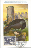 AUSTRIA CARD MAXIMUM OISEAUX BREGENZ 3.8.1954 - Maximum Cards