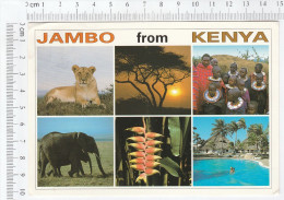 Jambo From Kenya - Kenya