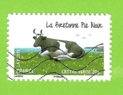 Vache Bretagne Pie Noir, 953 - Mucche