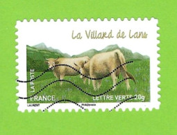 Vache Vercors 958 - Vaches