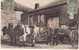 Le Chesne (Ardennes). Attelage De Bœufs Posté En 1907 - Le Chesne