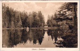 Lötzen , Stadtwald  (Stempel: Berlin 1923 (INFLA-Frankatur), Nach Schweden) - Ostpreussen