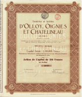 - Titre De 1920 - Fonderies Et Aciéries D'Olloy, Oignies Et Châtelineau Réunies - - Industrie