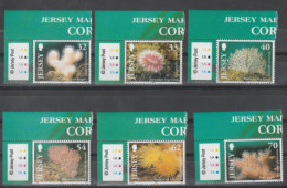 Jersey - 2004 Marine Life - Corals MNH** - Jersey