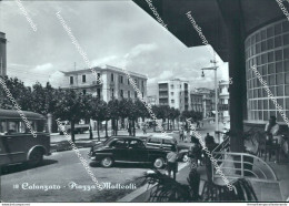 Ci496 Cartolina Catanzaro Citta'   Piazza Matteotti Calabria - Catanzaro