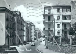 Ci582 Cartolina Caltanissetta Viale Trieste Sicilia - Caltanissetta