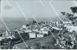 Ci575 Cartolina Pescopagano Panorama Provincia Di Potenza Basilicata - Potenza