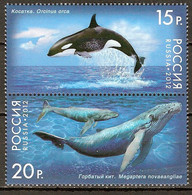 Russia 2012 MiNr. 1788 - 1789  Russland Marine Mammals  Whales 2 V  MNH** 4,20 € - Ballenas