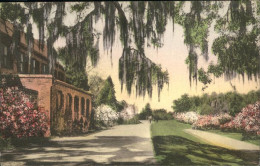 71070156 Charleston_South_Carolina Middleton Place Gardens - Autres & Non Classés