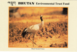 BHUTAN Post 1993 Set Of 17 Environmental Trust Fund Postcards, Unused In Cover Bhoutan Fauna Flora P&T Issue - Bhutan