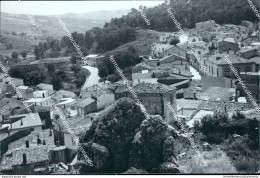 Ci578 Cartolina Pescopagano Panorama Provincia Di Potenza Basilicata - Potenza