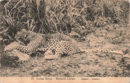 CONGO KINSHASA - Congo Belge - Un Léopard Dans La Nature - Carte Postale Ancienne - Congo Belge