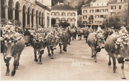 BAD RAGATZ HEIMKEHR VON DER ALP - Bad Ragaz