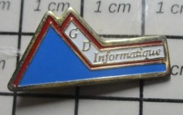 812D Pin's Pins / Beau Et Rare / INFORMATIQUE / GD INFORMATIQUE MONTAGNE - Computers