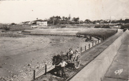 ANGOULINS PLAGE DE SAINT JEAN DES SABLES DEPART POUR LA PECHE AUX HUITRES 1960 CPSM 9X14 TBE - Angoulins