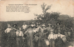 MÉTIERS - Scènes Champêtres - Les Vendanges - Carte Postale Ancienne - Campesinos