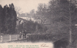 MP Couvin Un Coin Du Parc De St Roch - Couvin